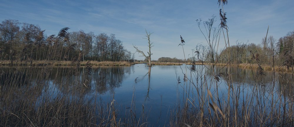 Der ACV Ortsclub in Lahn-Schwalm