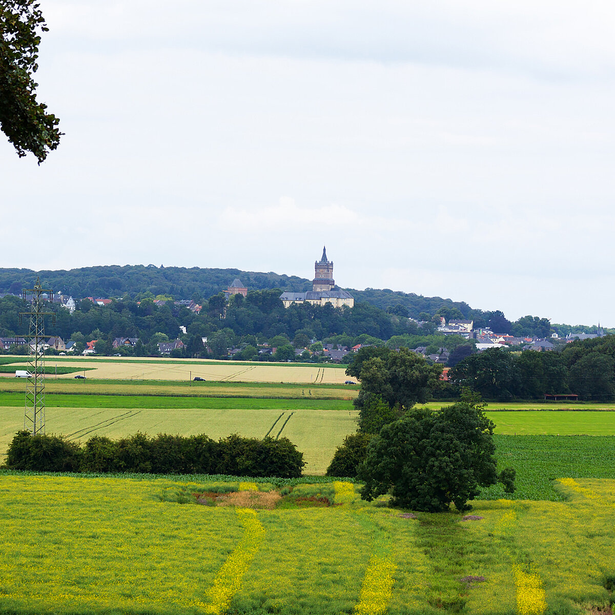 Der ACV Ortsclub in Niederrhein