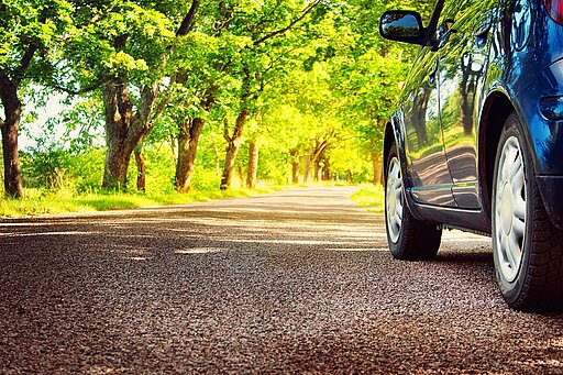Ein blaues Auto steht in einem Park