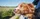 Hund steckt den Kopf aus dem Autofenster, fährt auf einer Landstraße und genießt den Fahrtwind an einem sonnigen Tag.