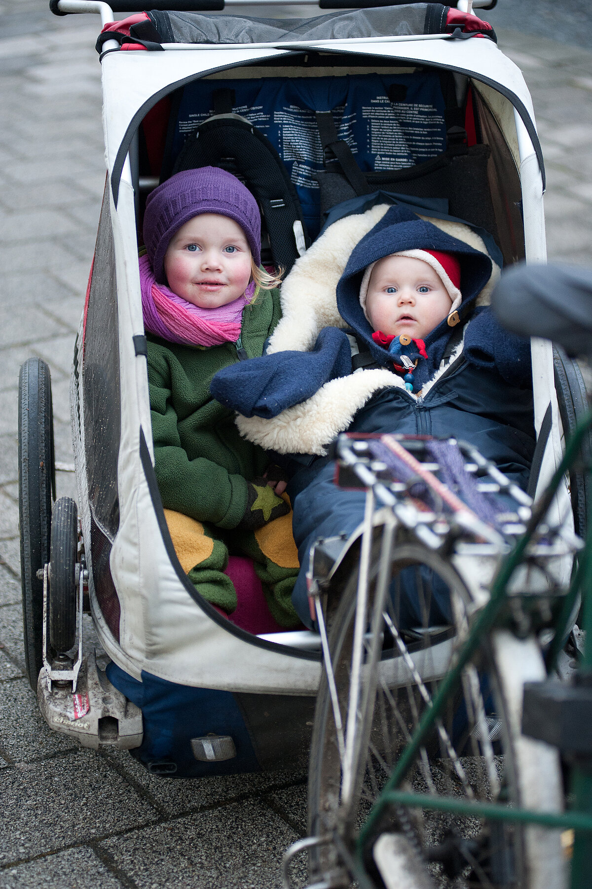 Kinder sitzen in einem Fahrradanhänger