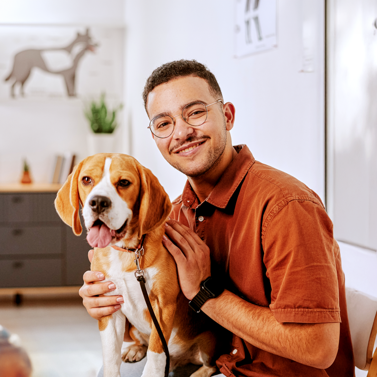 Eine lächelnde Person mit Brille und braunem Hemd sitzt in einem Haus und hält sanft einen Beagle-Hund auf dem Schoß. Die Umgebung scheint eine Tierklinik oder ein Büro zu sein, mit Plakaten zur Hundeanatomie im Hintergrund.