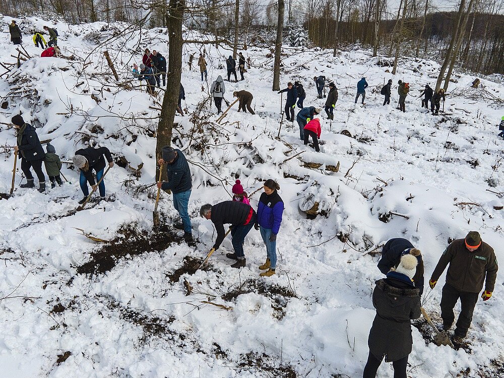 mehrere personen pflanzen bäume auf einem verschneiten feld