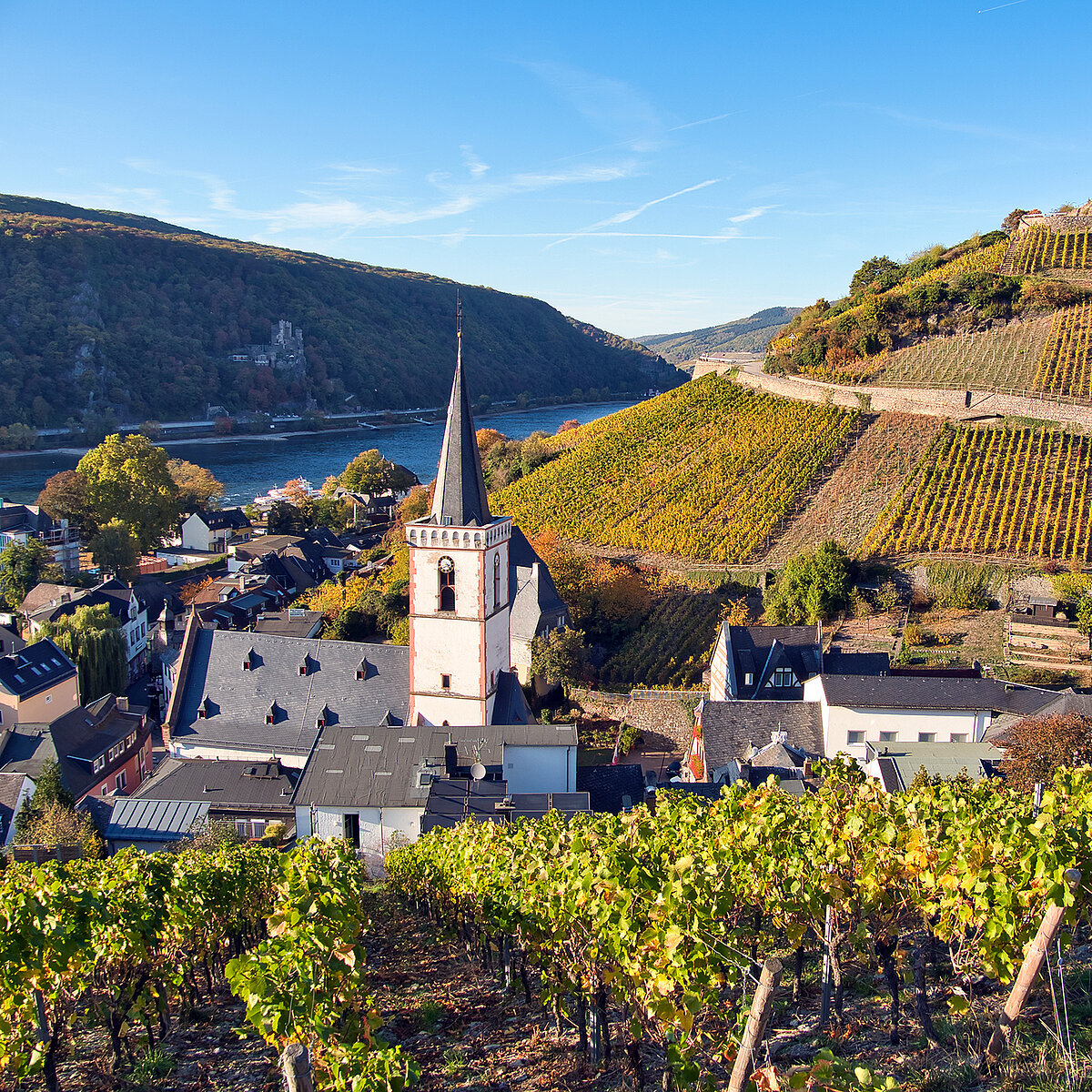 Der ACV Ortsclub in Rheinhessen