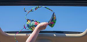 	Eine Person hält einen bunten Bikini-Oberteil aus dem offenen Schiebedach eines Autos in den blauen Himmel.
