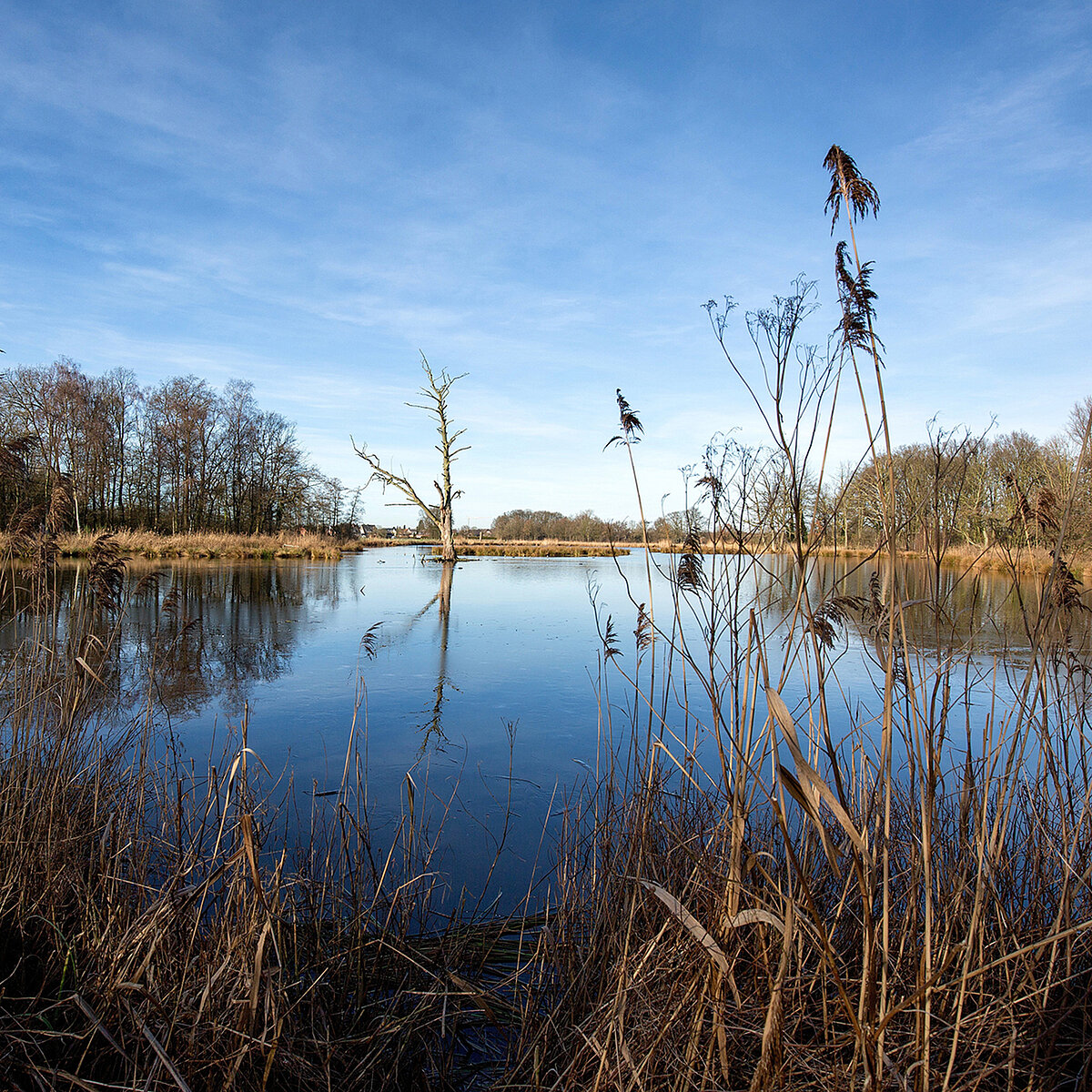 Der ACV Ortsclub in Lahn Schwalm