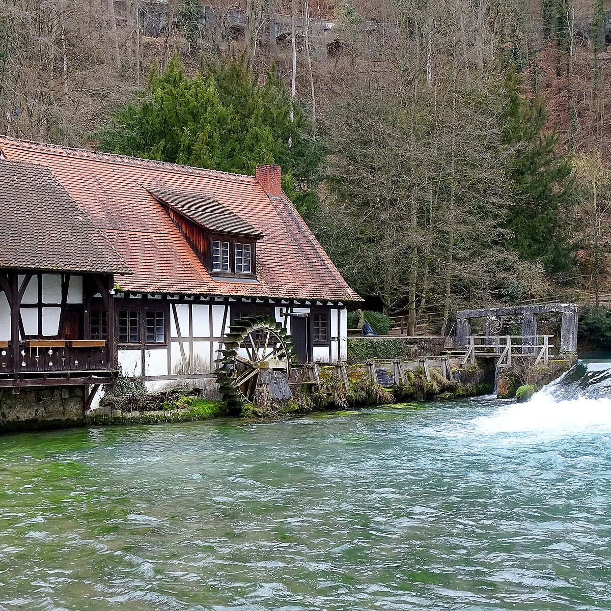 Der ACV Ortsclub in Alb-Donau