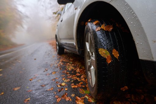 Ein weißes Auto fährt durch Blätter