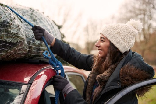 ACV Ratgeber_Weihnachtsbaum sicher auf dem Auto transportieren