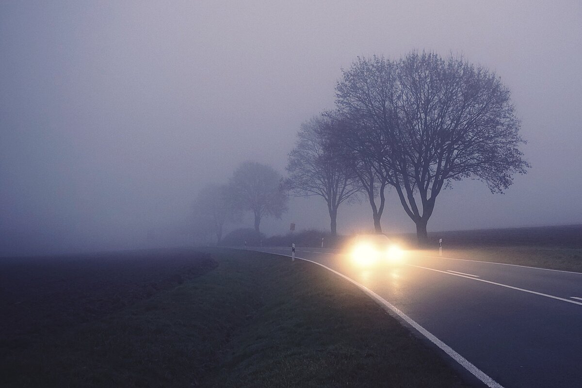 Auto fährt mit eingeschaltetem Licht durch dichten Nebel auf einer Landstraße, Bäume stehen am Straßenrand.