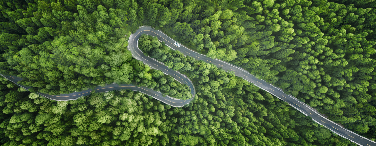 Eine Fahrbahn die zwischen grünen Bäumen hindurch führt