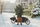 Das Bild zeigt eine Person, die einen Weihnachtsbaum in einem Lastenfahrrad transportieren möchte. Die Person steht vor dem Fahrrad und hält den Baum im Arm. Der Bau, verdeckt das Gesicht der Person. Das Fahrrad ist auf einer schneebedeckten Straße in einer Wohngegend geparkt. Im Hintergrund sind verschneite Gebäude, Zäune und Bäume zu sehen, was eine ruhige winterliche Atmosphäre vermittelt.