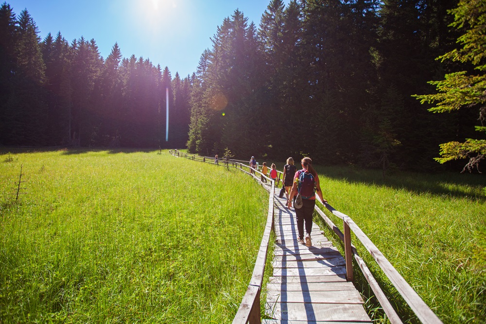 Ein Wanderweg zwischen Wiesen
