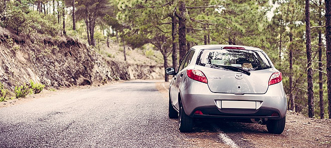 Ein silbernes Auto steht in einem Wald