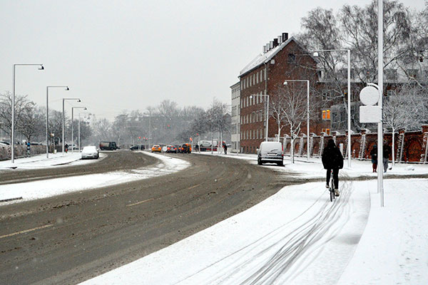 ACV Ratgeber_Fahrradweg-vs-Strasse