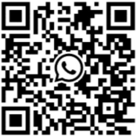 OC Dresden Whats App