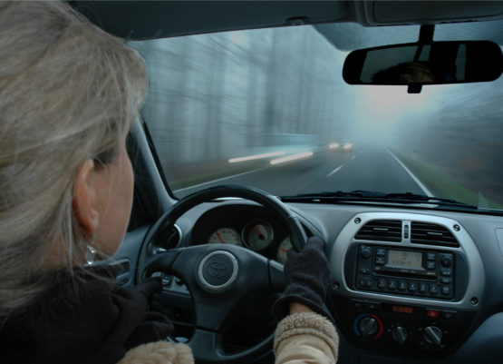 Nebel, Glätte, Wildwechsel Auto fahren im Herbst ACV