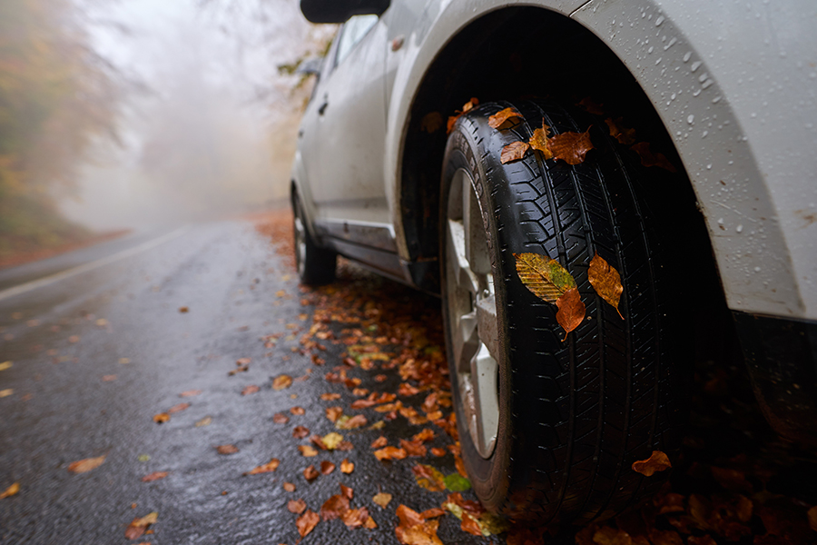 Auto herbstfit machen