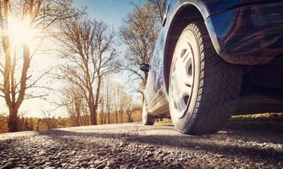 Ein blaues Auto steht zwischen Bäumen
