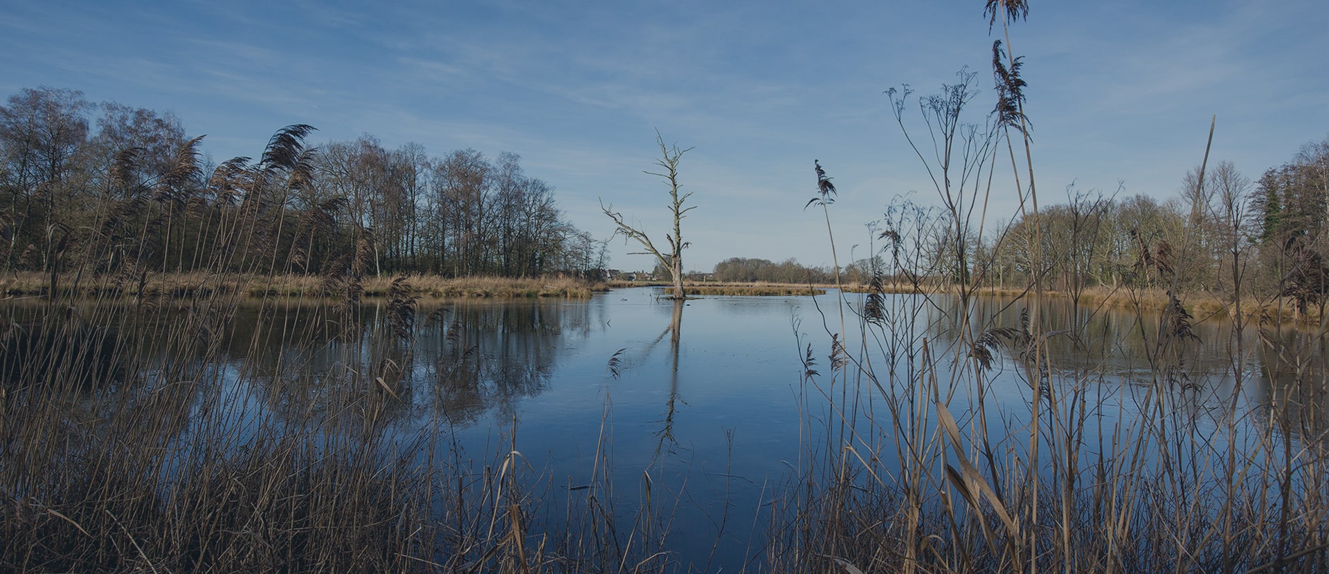 Der ACV Ortsclub in Lahn-Schwalm